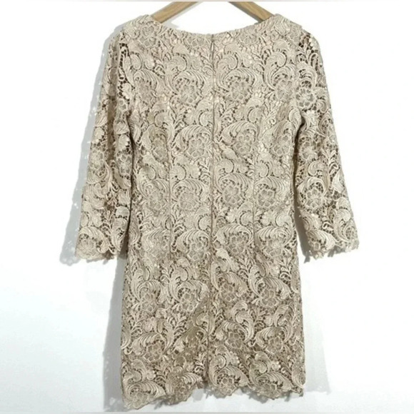 White House  & black Market brand Champagne Lace 3/4 Sleeve Mini Dress - Picture 7 of 10